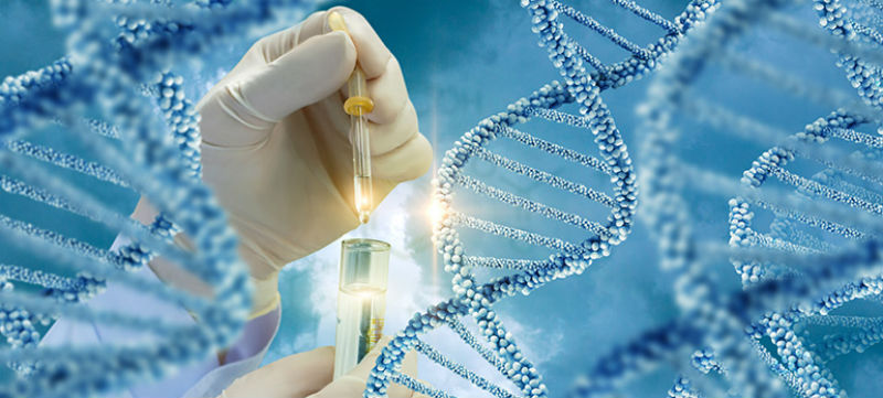 Researchers find genetic &lsquo;fingerprints&rsquo; of ancient migrations in modern-day United Arab Emirates