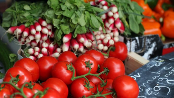 South Africa Courts Middle East Buyers to Expand Farm Exports